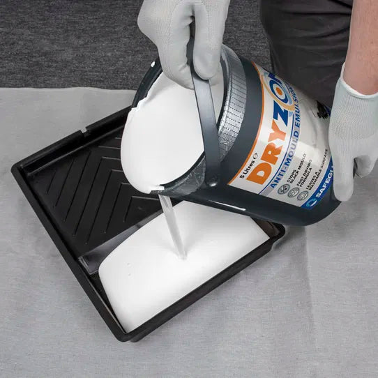 Dryzone Anti-Mould Emulsion Paint