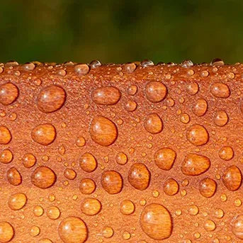 Roxil Wood Protection Bundles